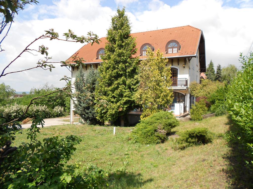 Peregrino Panzio Bed & Breakfast Budaors Ngoại thất bức ảnh