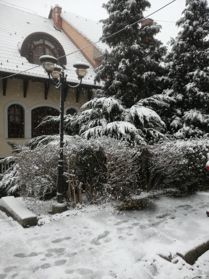 Peregrino Panzio Bed & Breakfast Budaors Ngoại thất bức ảnh